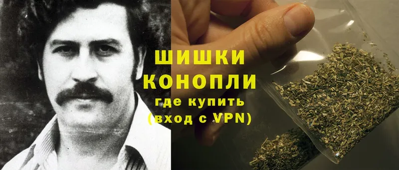 МЕГА онион  хочу наркоту  Заводоуковск  Каннабис SATIVA & INDICA 